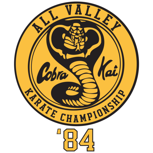 cobra kai karate kid cobra kai karate kid